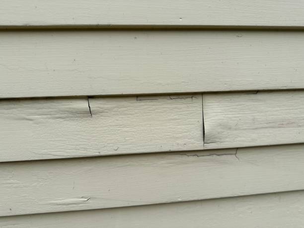 Best Stucco Siding  in Califon, NJ